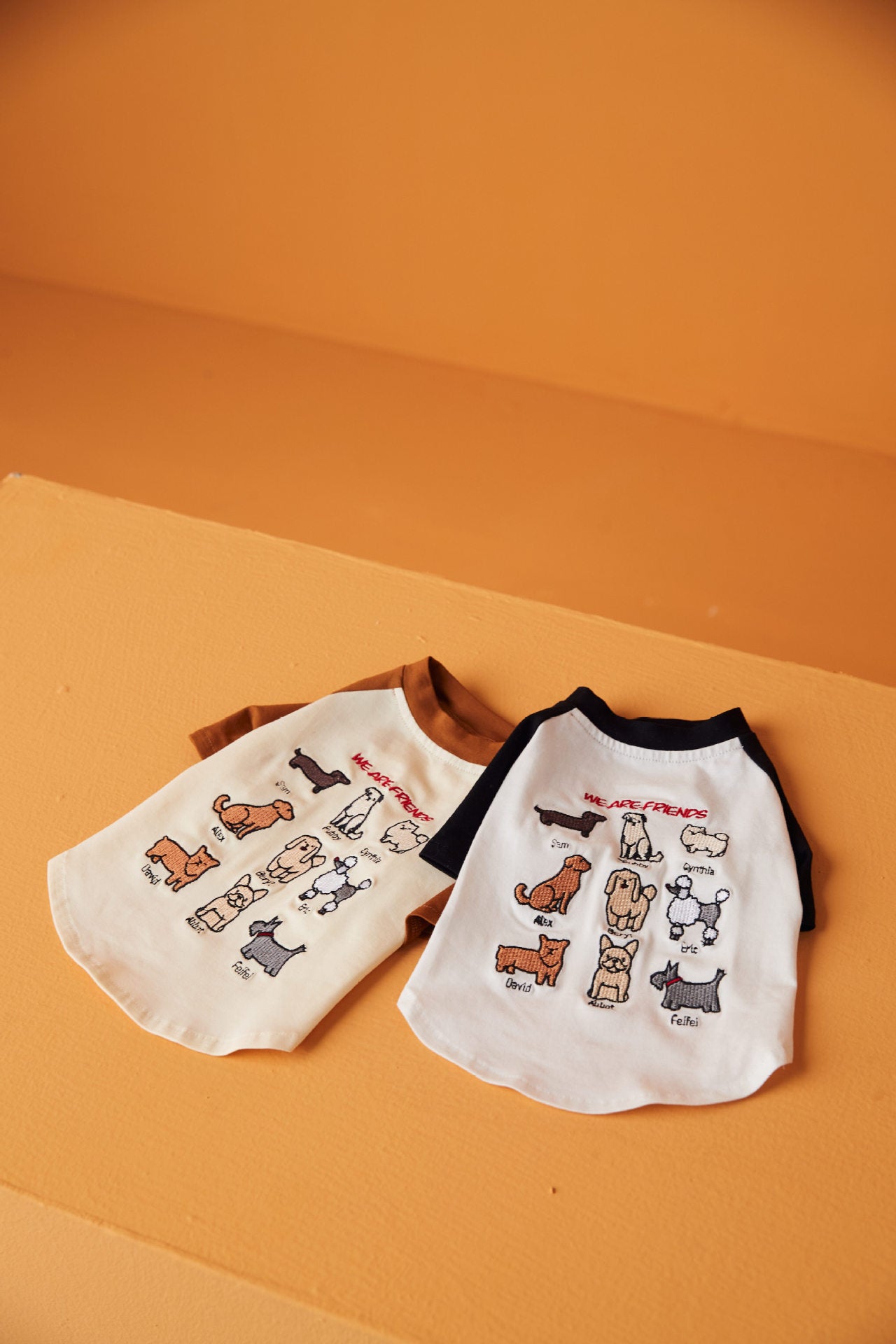 TAWNEY BEAR Colorblock Embroidered T-Shirt