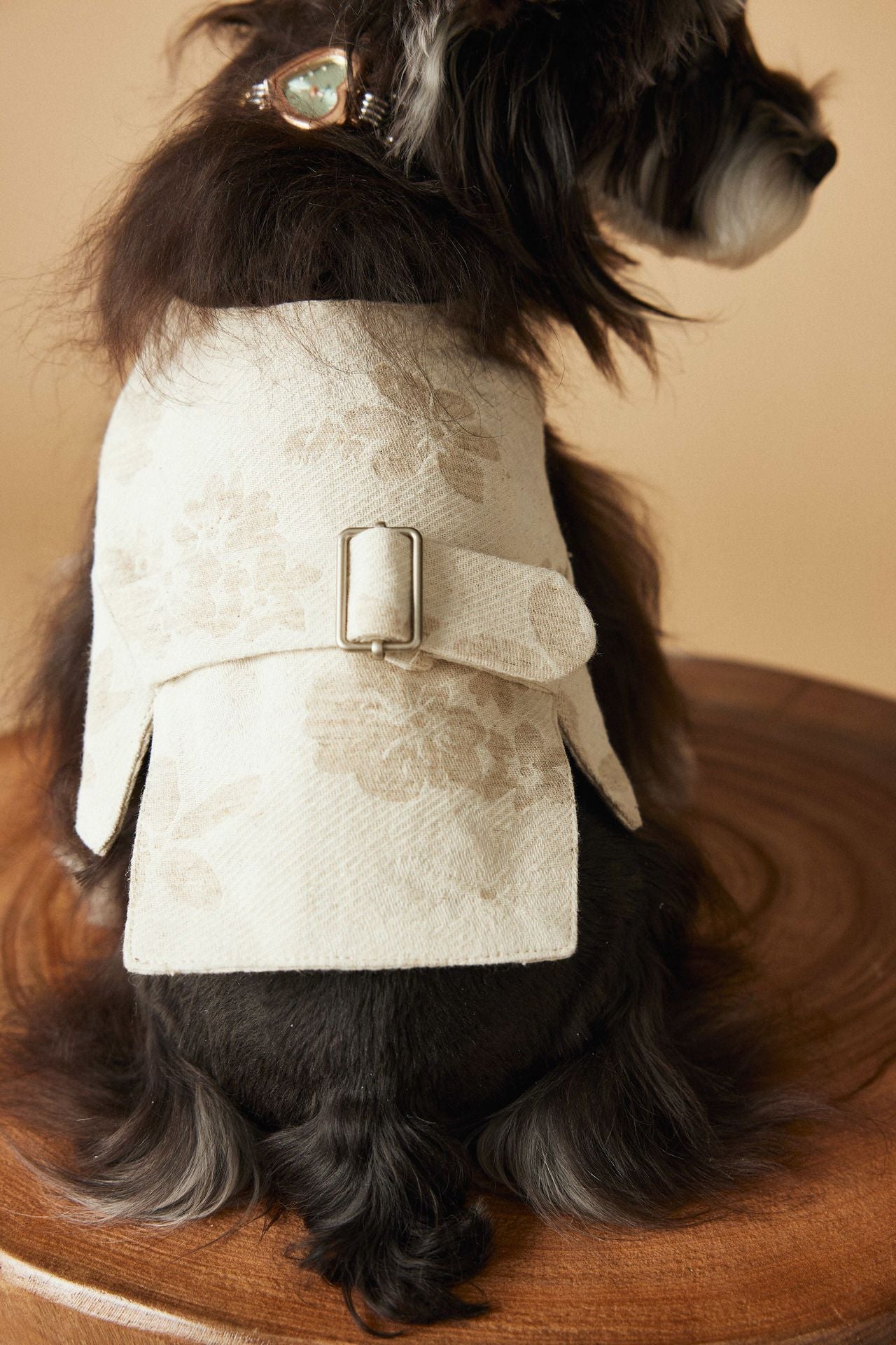 TAWNEY BEAR Gentleman Vest