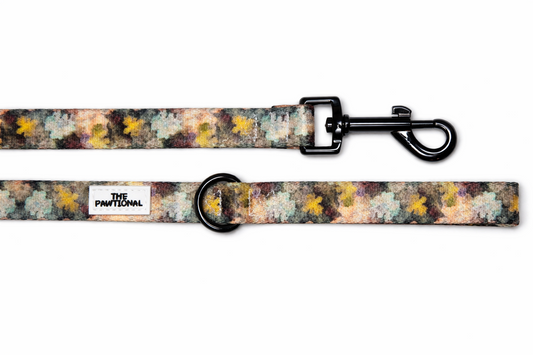 matching dog leash and harness set floral design