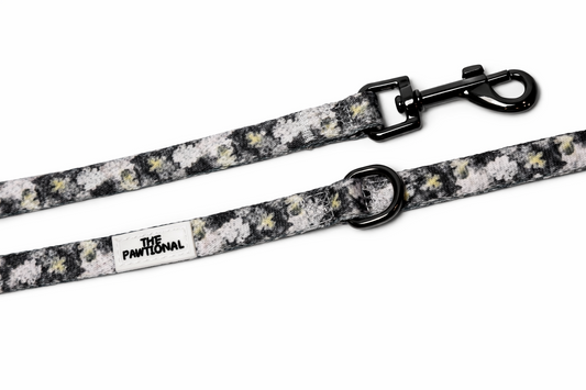 dog leash and harness matching set floral