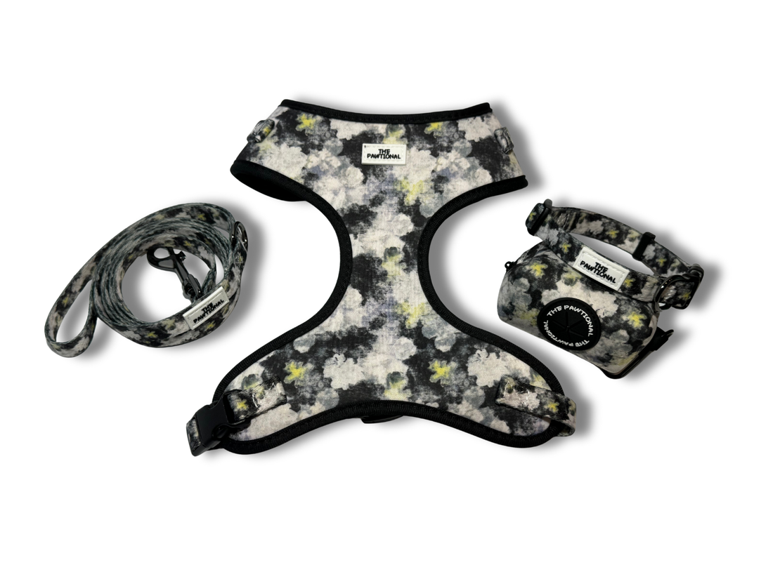 cute dog harness floral design australia small dog