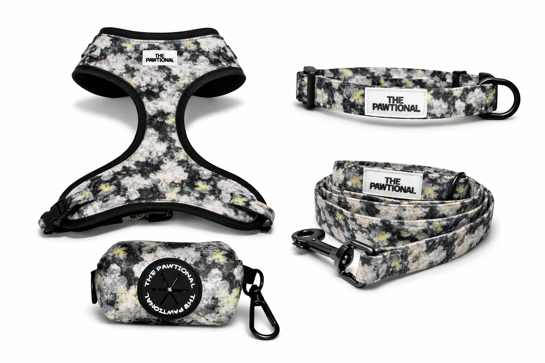 dark floral no pull dog harness shadow bloom australia