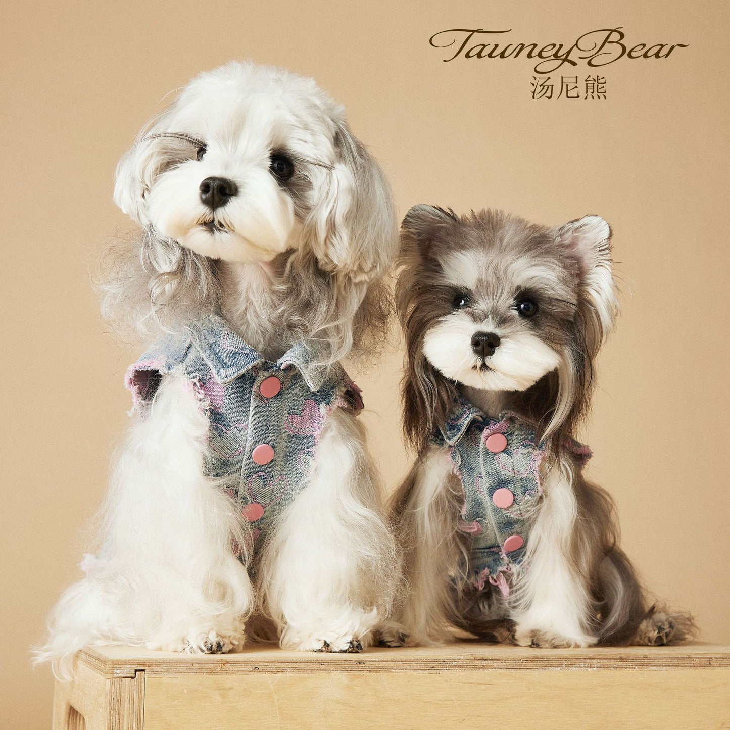 TAWNEY BEAR Spring Denim Vest