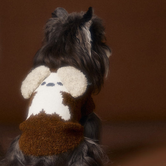 TAWNEY BEAR Knit Sweater