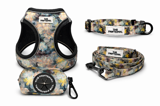 dream bloom floral dog harness australia
