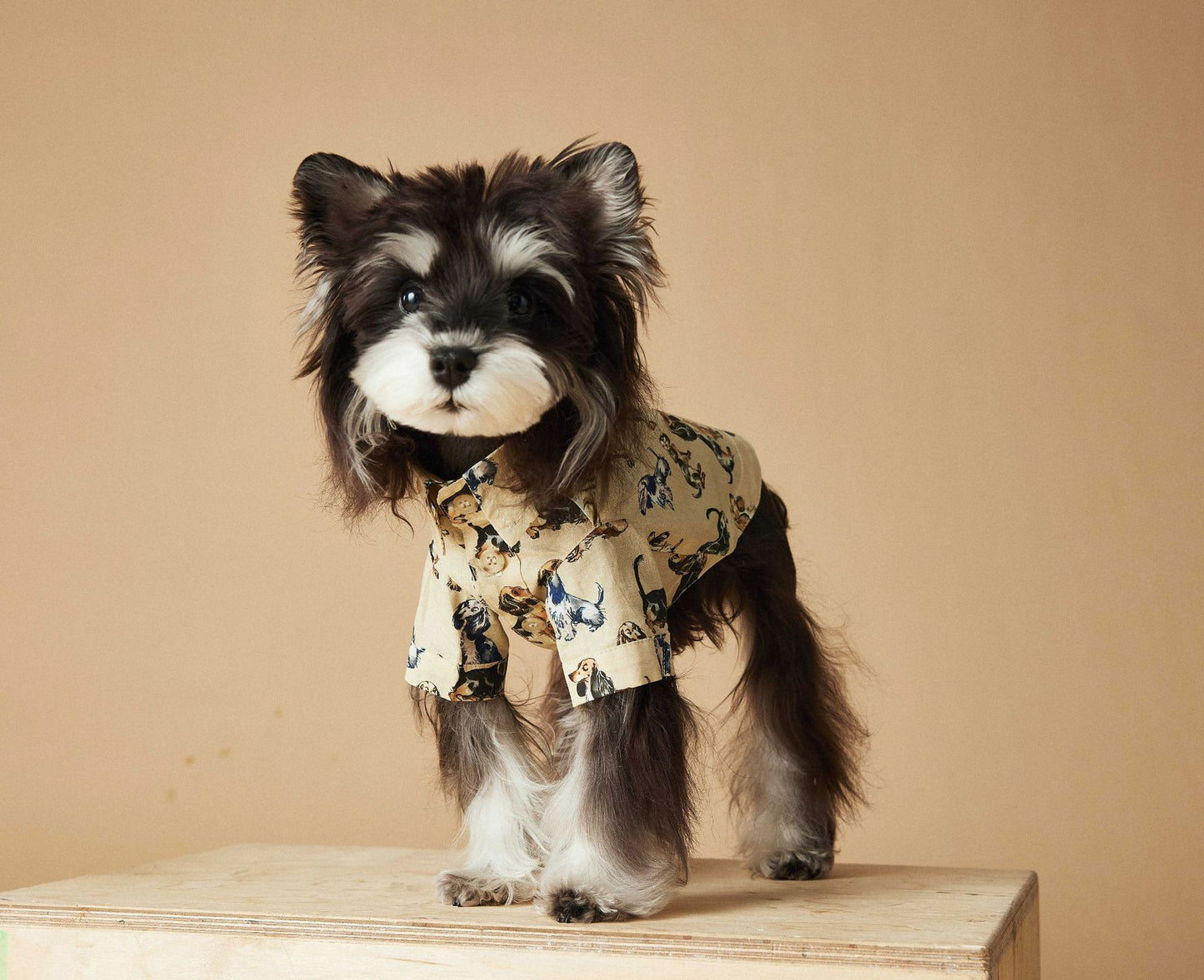 TAWNEY BEAR Printed Summer Shirt