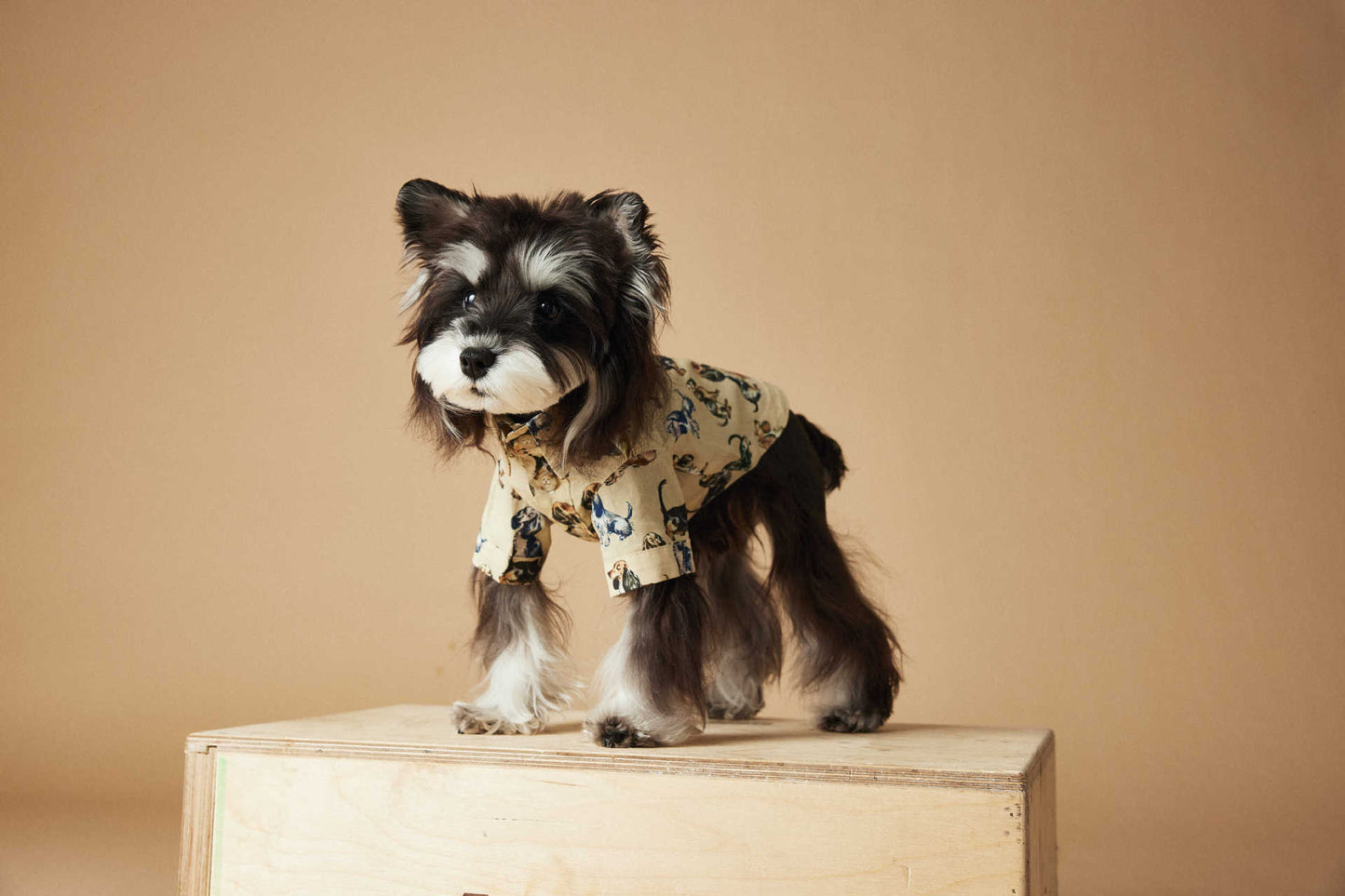 TAWNEY BEAR Printed Summer Shirt