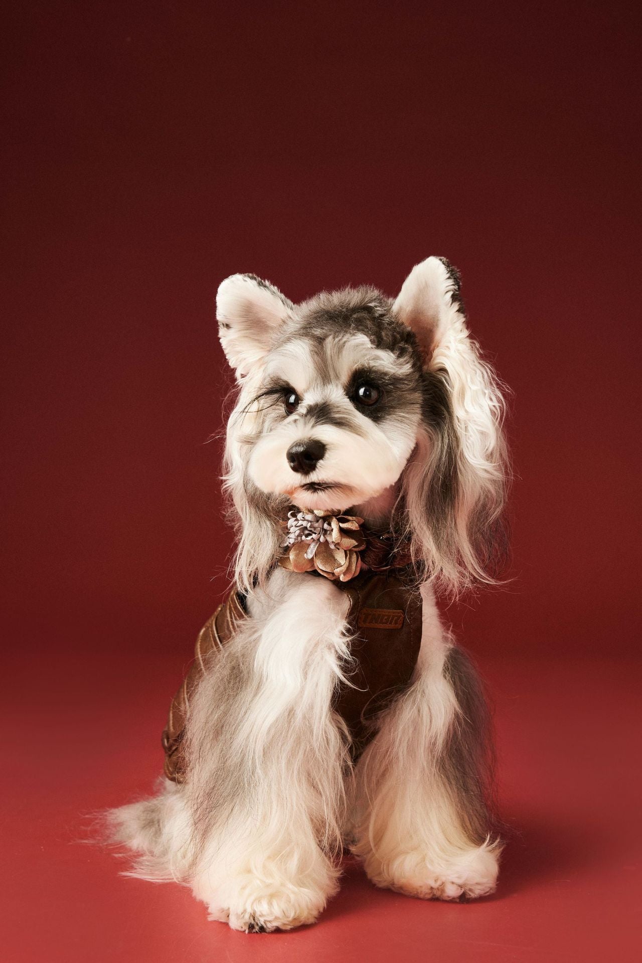 TAWNEY BEAR Utility Harness Vest