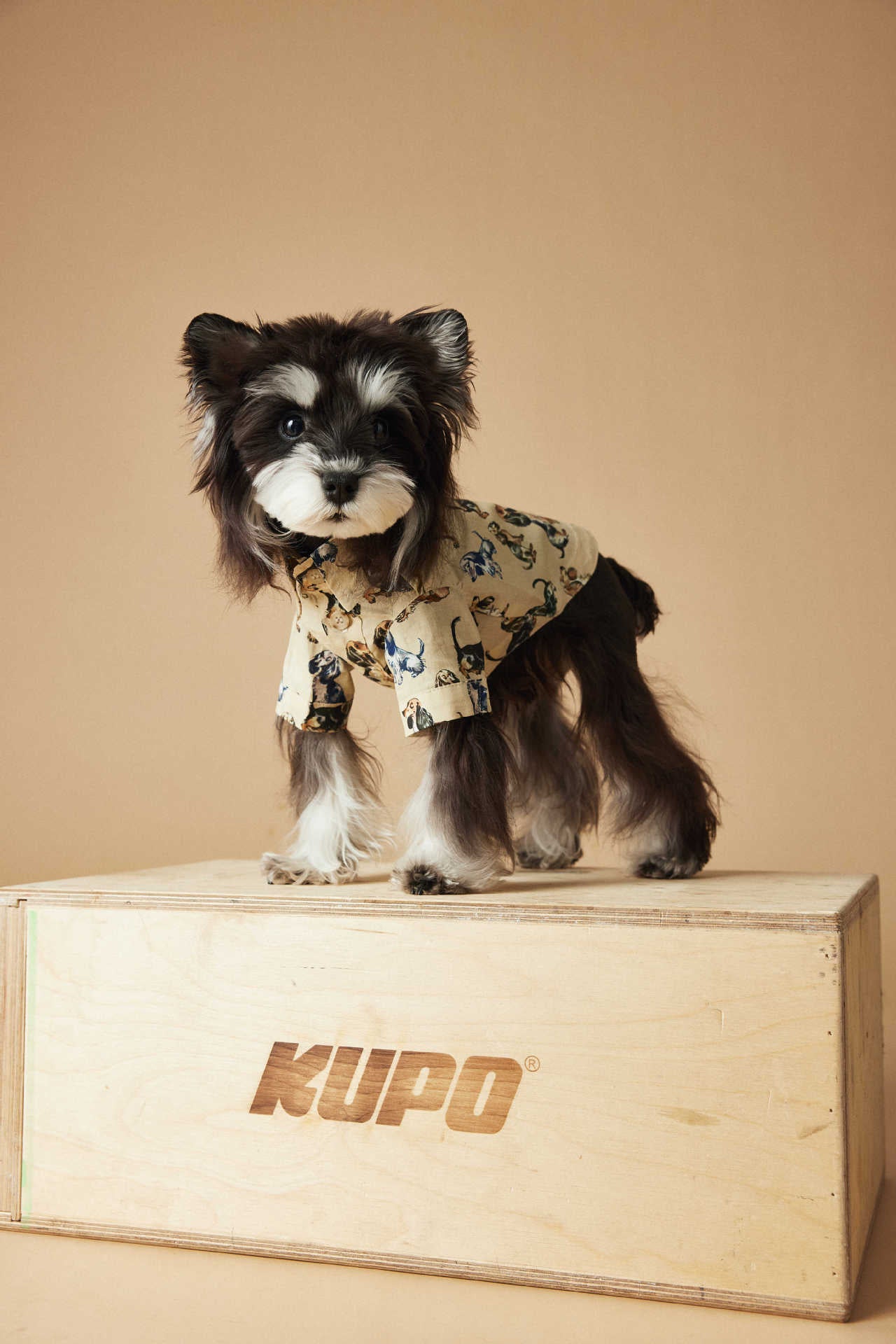 TAWNEY BEAR Printed Summer Shirt