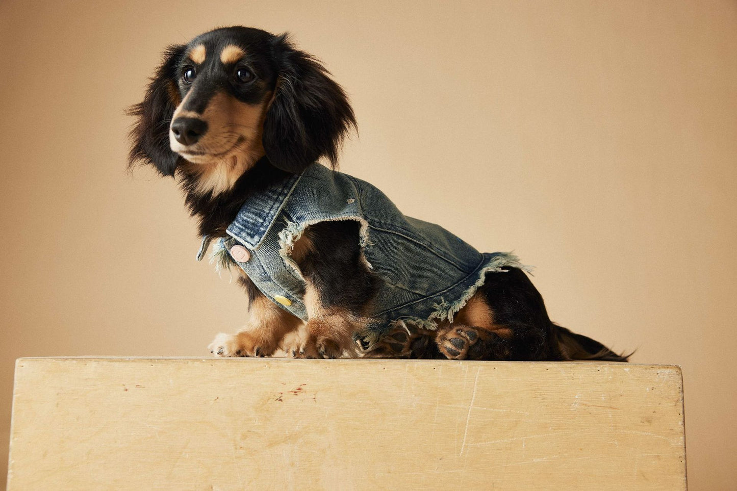 TAWNEY BEAR Denim Vest