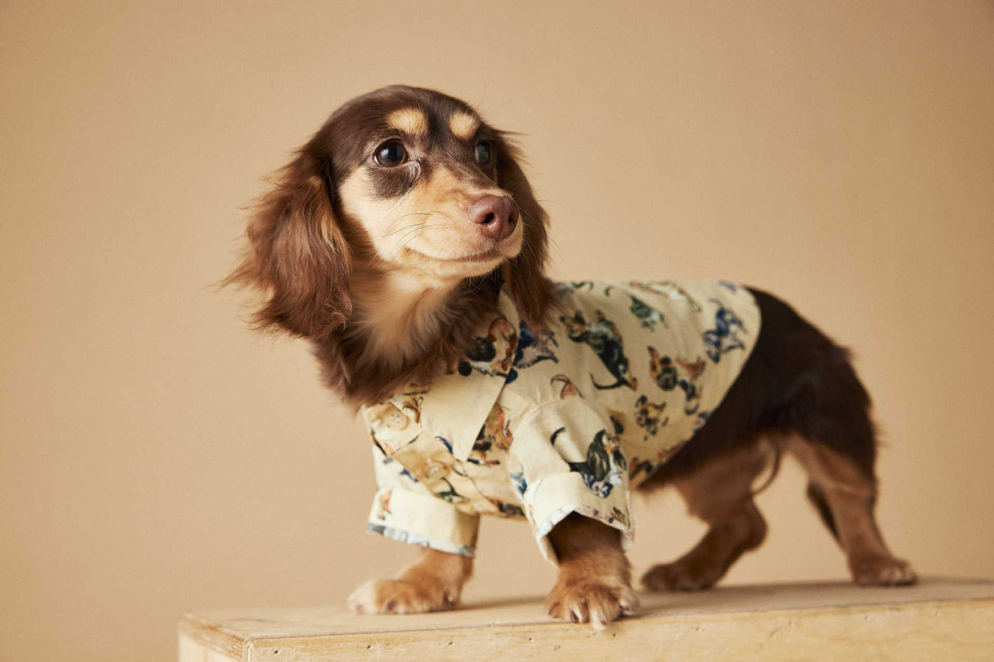 TAWNEY BEAR Printed Summer Shirt