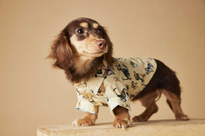 TAWNEY BEAR Printed Summer Shirt