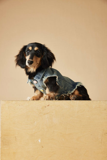 TAWNEY BEAR Denim Vest