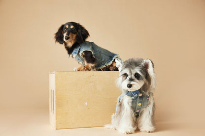 TAWNEY BEAR Denim Vest