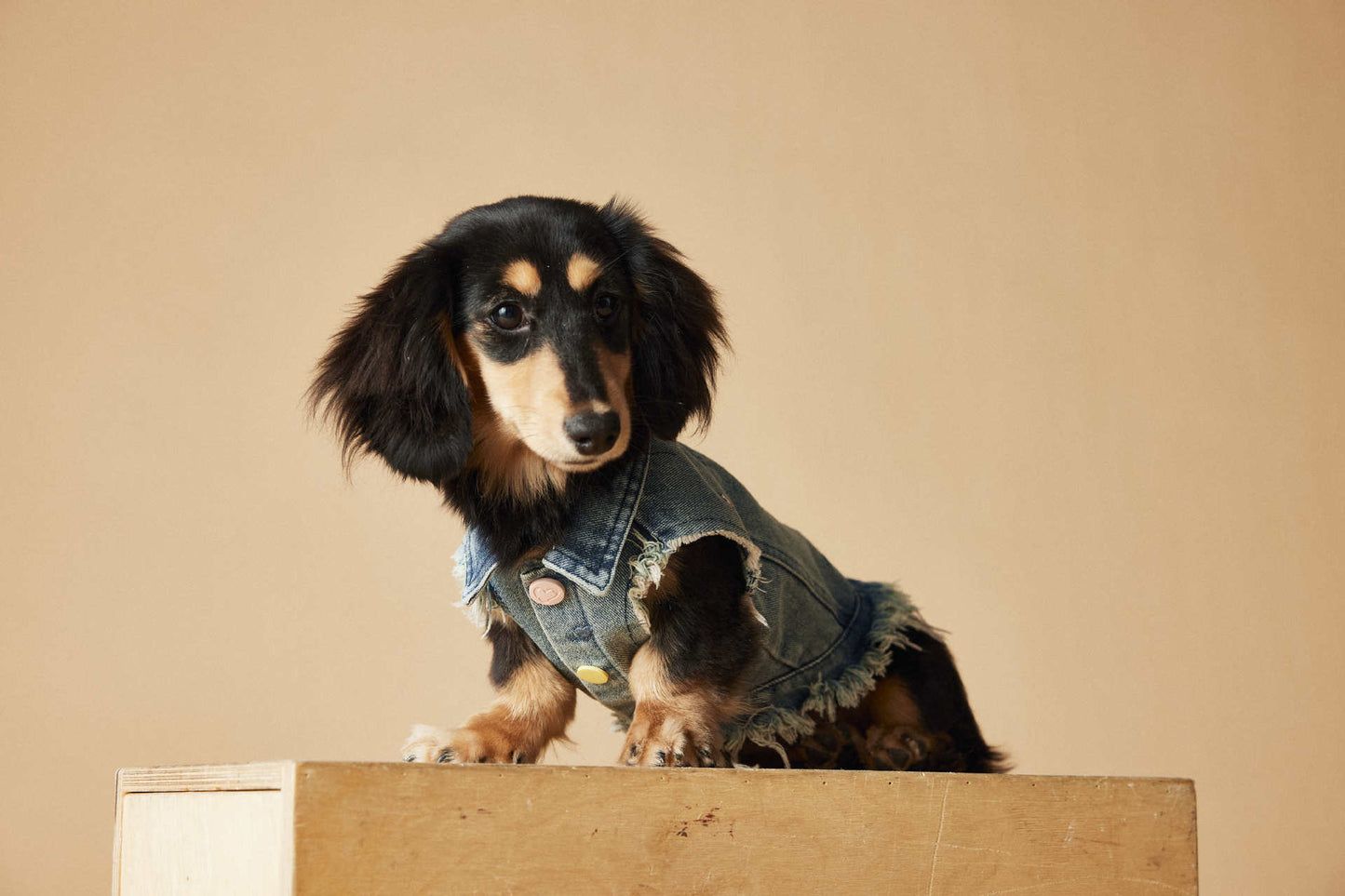 TAWNEY BEAR Denim Vest