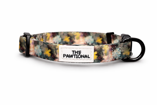 dog wearing breathable harness australia floral