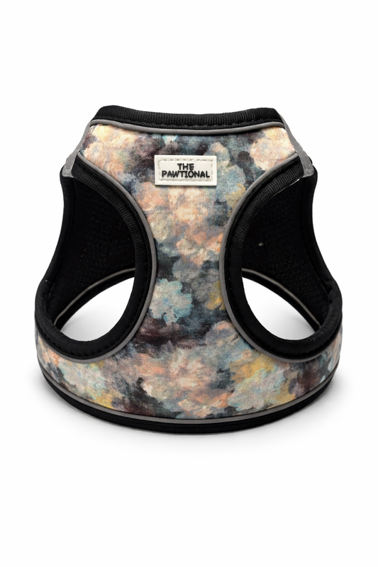 cute floral dog harness set small dog
