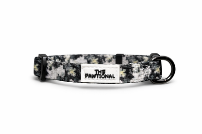 small dog wearing no pull harness australia