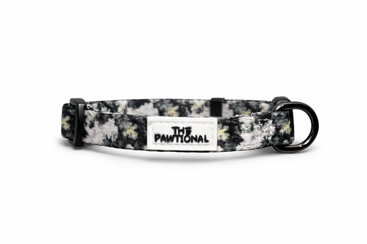 small dog wearing no pull harness australia