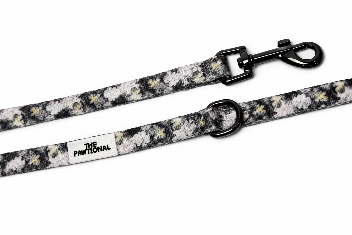 dog leash and harness matching set floral